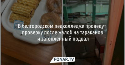 В белгородском педколледже проведут проверку после жалоб на тараканов и затопленный подвал