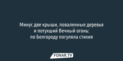 Минус две крыши, поваленные деревья и потухший Вечный огонь: по Белгороду погуляла стихия