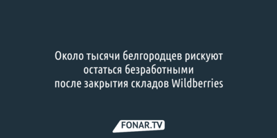 Около тысячи белгородцев рискуют остаться безработными после закрытия складов Wildberries
