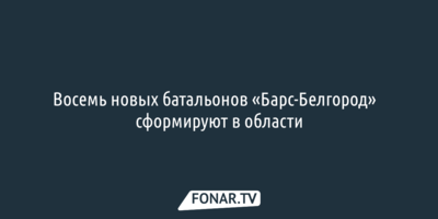 Восемь новых батальонов «Барс-Белгород» сформируют в области