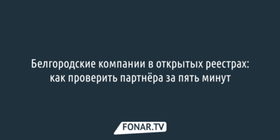 Белгородские компании в открытых реестрах: как проверить партнёра за пять минут