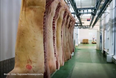 «Русагро» закрыло три свинокомплекса в Белгородской области