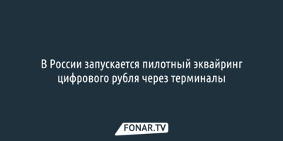 В России запускается пилотный эквайринг цифрового рубля через терминалы