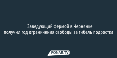 Заведующий фермой в Чернянке получил год ограничения свободы за гибель подростка