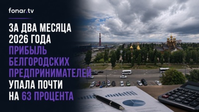 За два месяца 2026 года прибыль белгородских предпринимателей упала почти на 63 процента