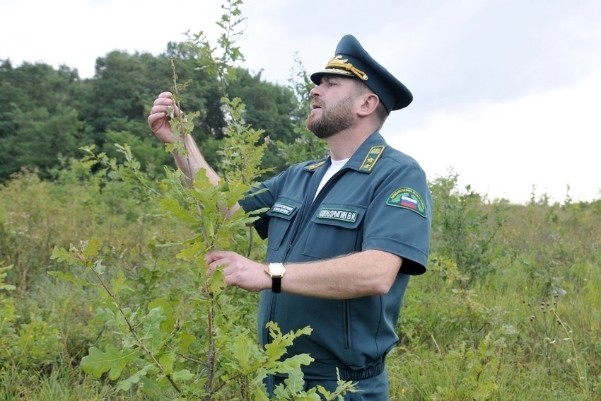 «Я хозяин, это моя территория». Несколько сотрудников заповедника «Белогорье» просят «спасти их» от директора Владимира Щендрыгина