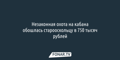 Незаконная охота на кабана обошлась старооскольцу в 750 тысяч рублей