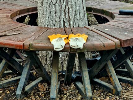 Субботники не только по субботам. Как нутрициолог, косметолог и коучи Белгород подметали