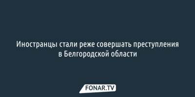 Иностранцы стали реже совершать преступления в Белгородской области