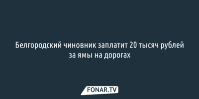 Белгородский чиновник заплатит 20 тысяч рублей за ямы на дорогах