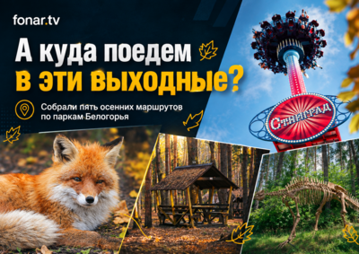 «Лето ушло, а мы ещё погуляем». Пять способов провести осенние выходные в Белгороде — от кормления уток до встречи с динозаврами