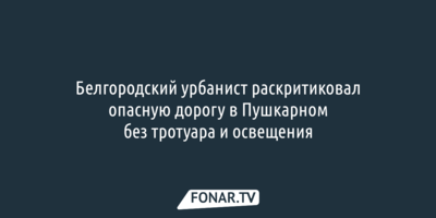 Белгородский урбанист раскритиковал опасную дорогу в Пушкарном без тротуара и освещения