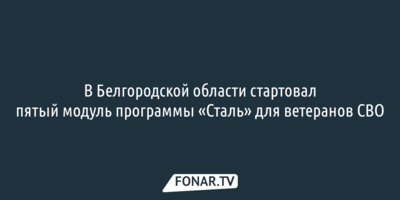 В Белгородской области стартовал пятый модуль программы «Сталь» для ветеранов СВО