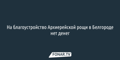 На благоустройство Архиерейской рощи в Белгороде нет денег