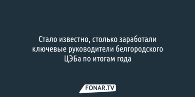 Стало известно, столько заработали ключевые руководители белгородского ЦЭБа по итогам года