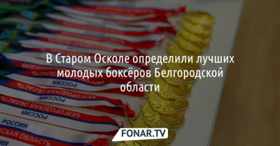 В Старом Осколе определили лучших молодых боксёров Белгородской области