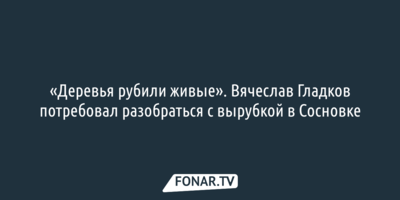 «Деревья рубили живые». Вячеслав Гладков потребовал разобраться с вырубкой в Сосновке