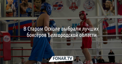 В Старом Осколе выбрали лучших боксёров Белгородской области