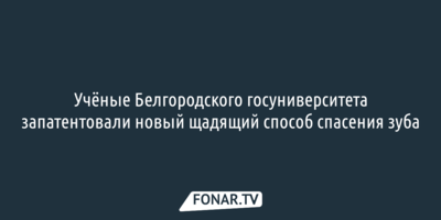Учёные Белгородского госуниверситета запатентовали новый щадящий способ спасения зуба