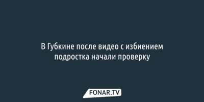 В Губкине после видео с избиением подростка начали проверку
