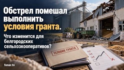 Обстрел помешал выполнить условия гранта. Что изменится для белгородских сельхозкооперативов?
