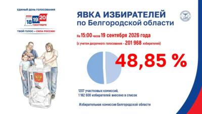 Явка на выборах в Белгородской области приблизилась к 50 процентам