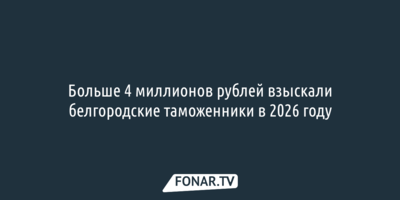 Больше 4 миллионов рублей взыскали белгородские таможенники в 2026 году