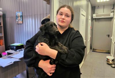 Сто собак и одна девушка. Чем живёт приют для бездомных собак в Строителе?