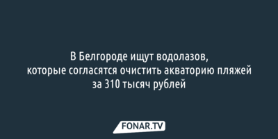В Белгороде ищут водолазов, которые согласятся очистить акваторию пляжей за 310 тысяч рублей