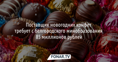 Поставщик новогодних конфет требует с белгородского минобразования 85 миллионов рублей