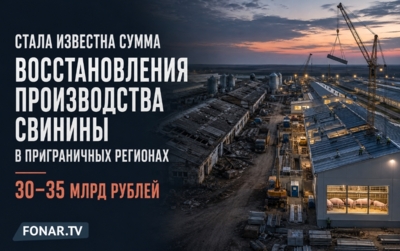 Эксперт назвал сумму восстановления производства свинины в приграничных регионах