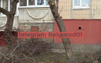 В Белгороде вырубают деревья, которые защищали жильцов дома от осколков