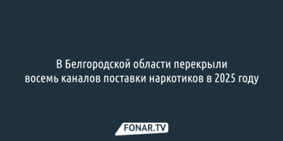 В Белгородской области перекрыли восемь каналов поставки наркотиков в 2025 году