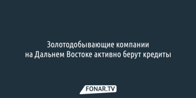 Золотодобывающие компании на Дальнем Востоке активно берут кредиты