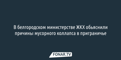 В белгородском министерстве ЖКХ обьяснили причины мусорного коллапса в приграничье