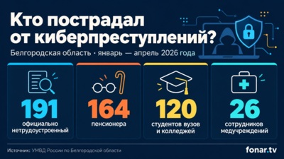 Полиция рассказала, кто чаще становился жертвой кибермошенников в Белгородской области